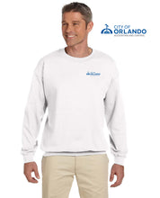 Load image into Gallery viewer, Accounting and Control - Gildan® Unisex Heavy Blend™ Crewneck Sweatshirt - 18000